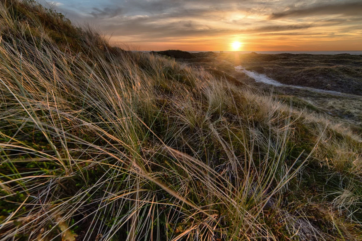7 Zaskakująco Skutecznych Sposobów Aby wybrać mechanika
