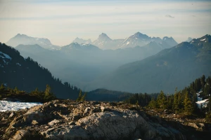 Zobacz te 5 ciekawostek o tym jak sprowadzić auto z Niemiec w prosty sposób